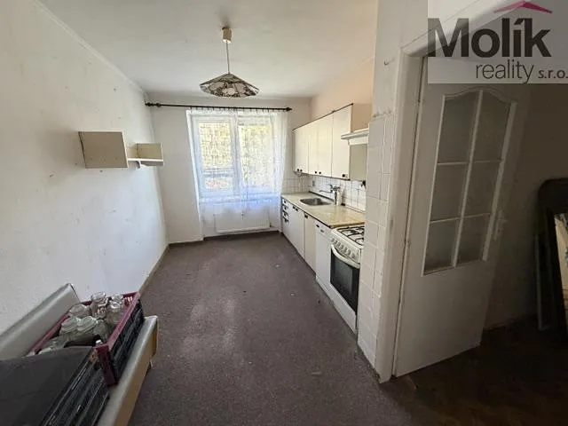 Fotka 5 z 17